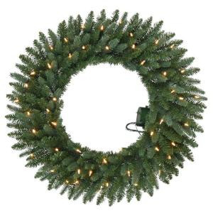 30 in. Battery Operated Meadow Artificial Wreath with 50 Clear LED Lights