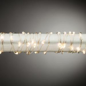 10 ft. 60-Light Warm White Silver Lights
