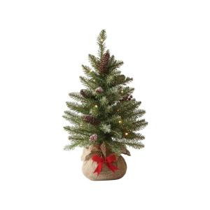 24 in. Indoor Pre-Lit Snowy Dunhill Fir Tabletop Tree with Clear Lights