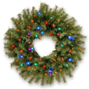 24 in. Norwood Fir Artificial Wreath with Multicolor LED Lights