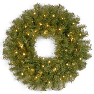 24 in. Norwood Fir Artificial Wreath with Warm White LED Lights