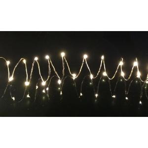 20-Light Warm White LED Battery Operated String Light with 3.4 ft. Silver Wire