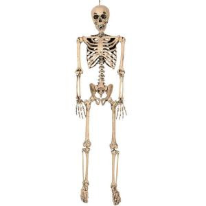 Full-Sized Pose and Stay Skeleton
