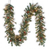 9 ft. Pre-Lit LED Alexander Pine Artificial Christmas Garland x 165 Tips with 100 UL Plug-In Outdoor Warm White Lights