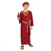 Boy's Burgundy Wiseman Costume