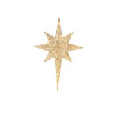 52 in. 50-Light LED Twinkling Burleigh Star
