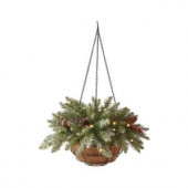 22 in. Pre-Lit Snowy Dunhill Fir Hanging Basket