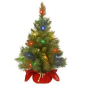 24 in. Majestic Fir Tree with Battery Operated Multicolor LED Lights