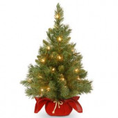 24 in. Majestic Fir Tree with Battery Operated Warm White LED Lights