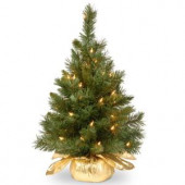 24 in. Majestic Fir Tree with Clear Lights
