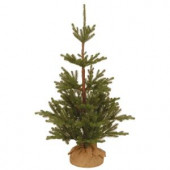 3-1/2 ft. Feel Real Imperial Spruce Artificial Christmas Tree with Bark Pole in Burlap Base