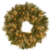 Carolina Pine 24 in. Artificial Wreath with Clear Lights