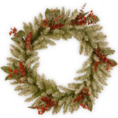 Decorative Collection Eucalyptus 24 in. Artificial Wreath with Clear Lights