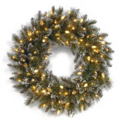 Glittery Bristle Pine 24 in. Artificial Wreath with Warm White LED Lights