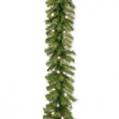 Norwood Fir 9 ft. Garland with Warm White LED Lights